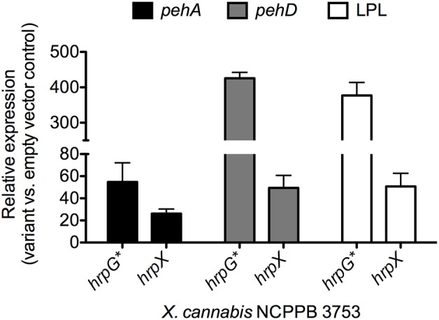 Figure 5