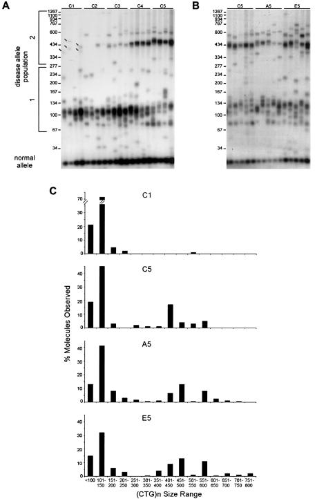 Figure  6