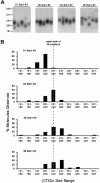 Figure  4