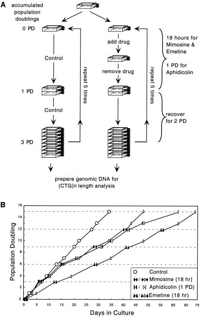 Figure  2