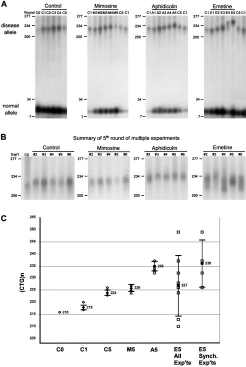 Figure  3