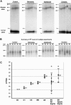 Figure  3