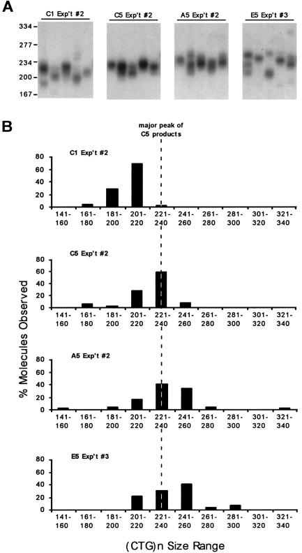 Figure  4