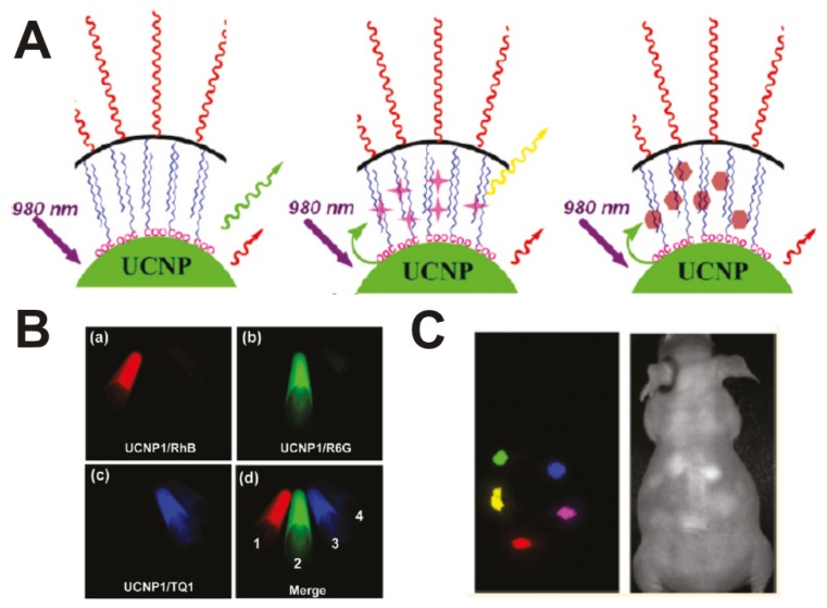 Figure 4