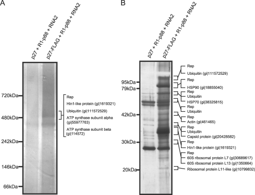 FIG. 8.