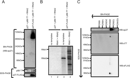 FIG. 7.