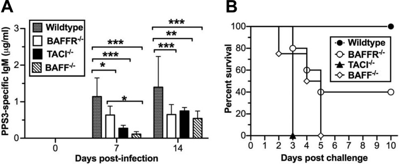 FIG 5