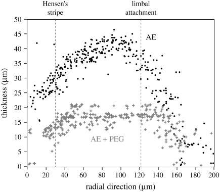 FIGURE 13