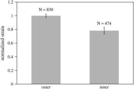 FIGURE 15