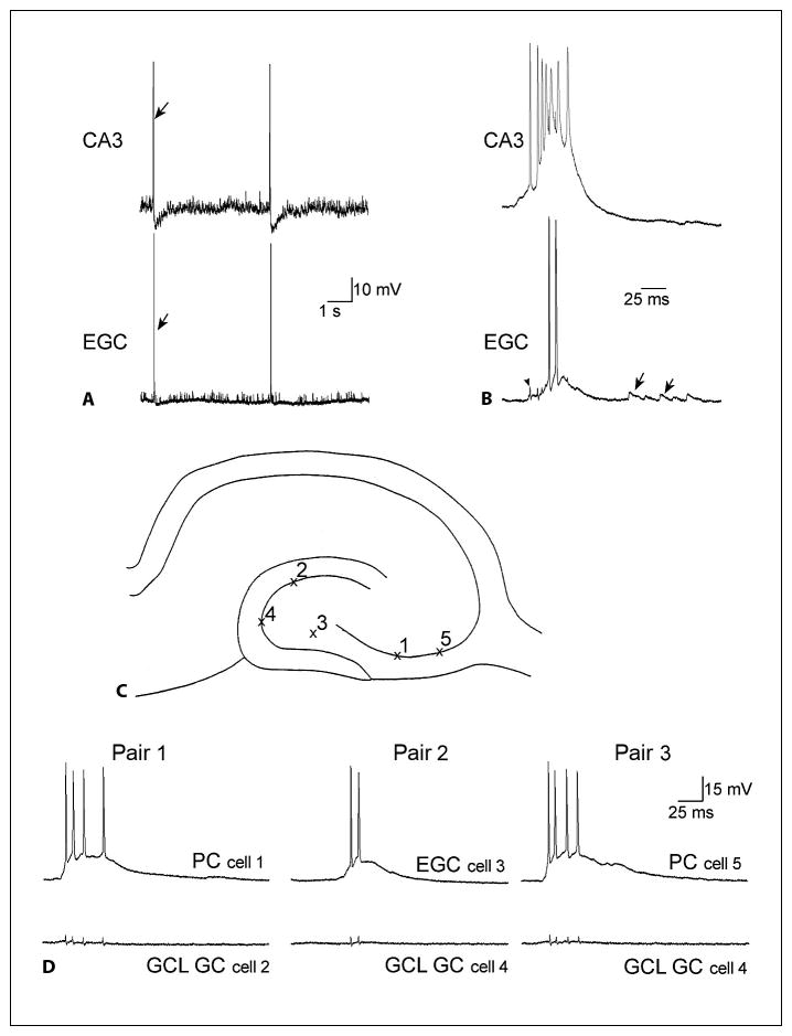 Fig. 5