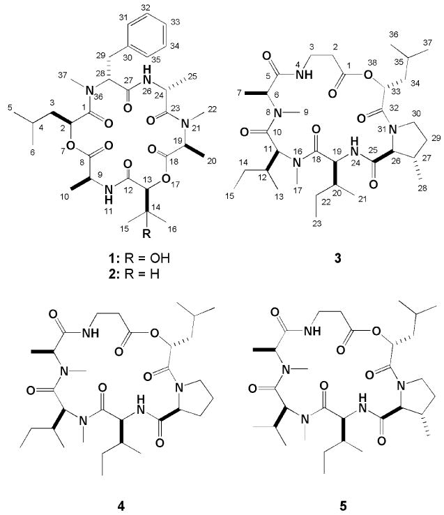 graphic file with name nihms17911f5.jpg