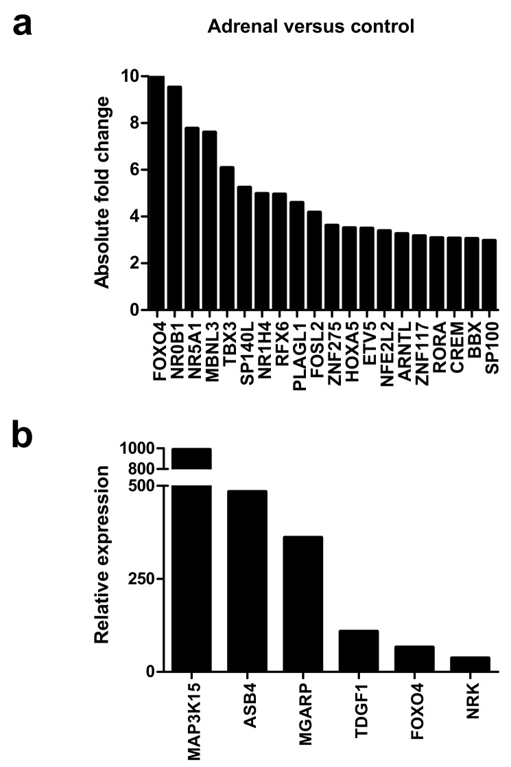 Figure 5. 