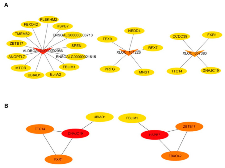 Figure 7