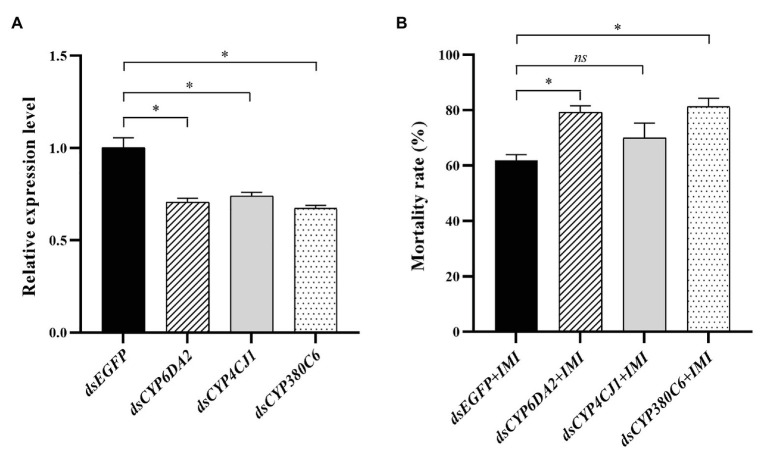 Figure 7