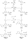 Scheme 1