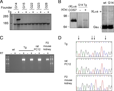 Fig. 3.