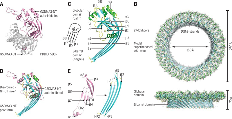 Fig. 2.