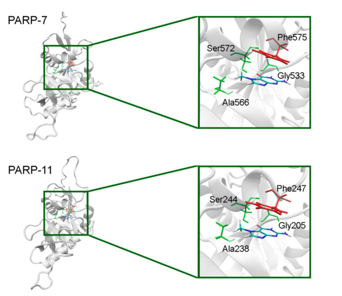 Figure 12