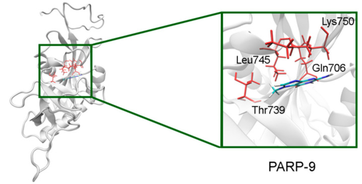 Figure 13