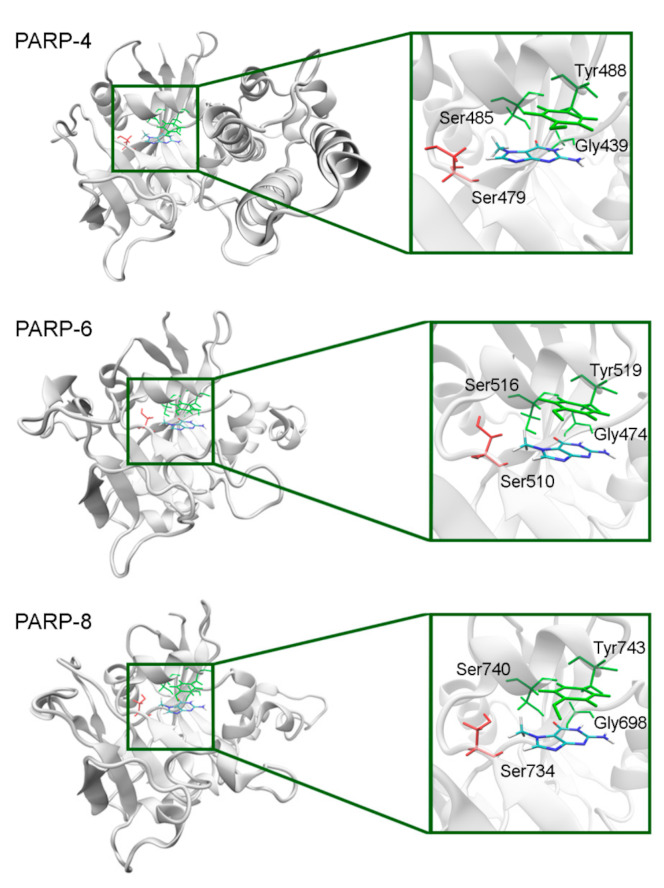 Figure 11