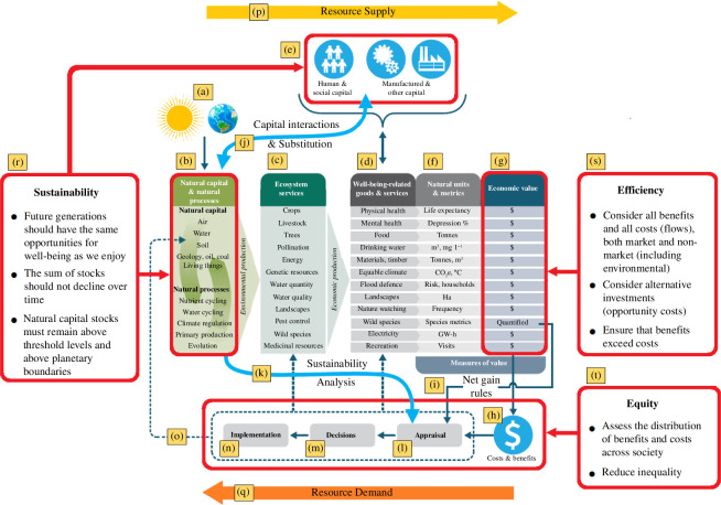 The Natural Capital Framework for Decision-Making