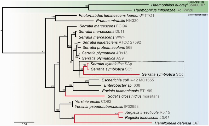 Fig. 2.—