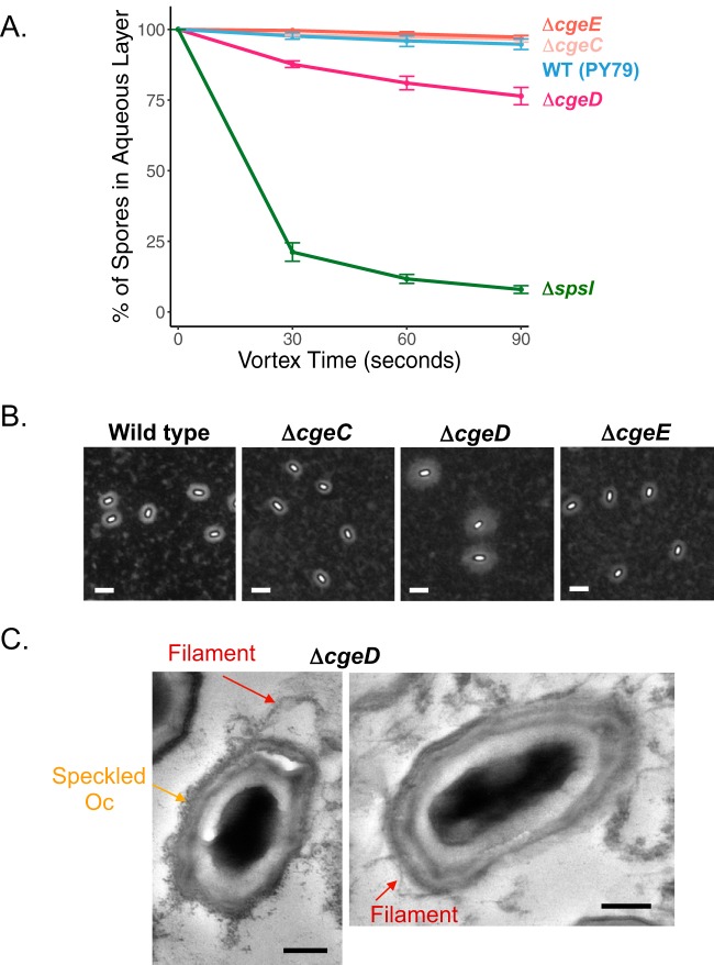 FIG 6