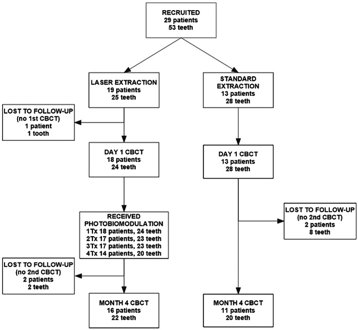 FIGURE 3