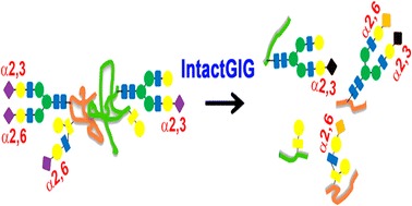 Graphical Abstract