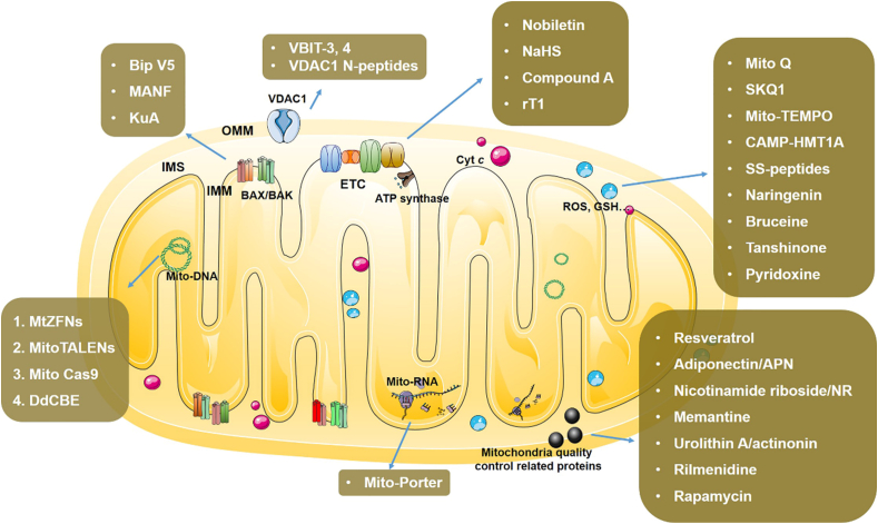 Figure 2