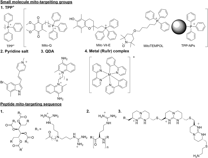 Figure 1