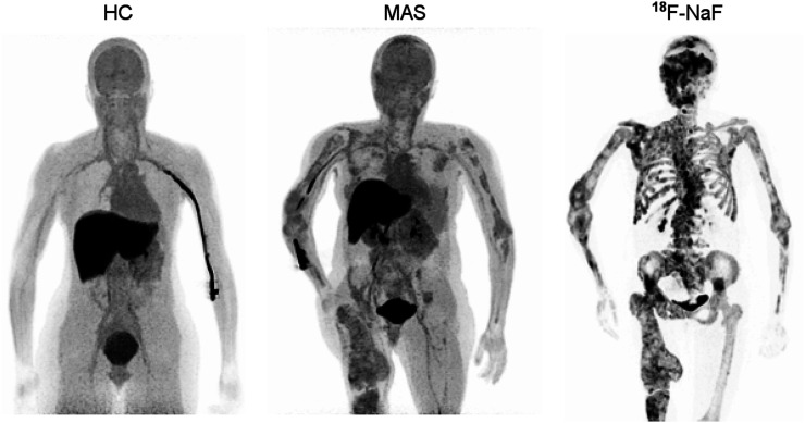 FIGURE 1.