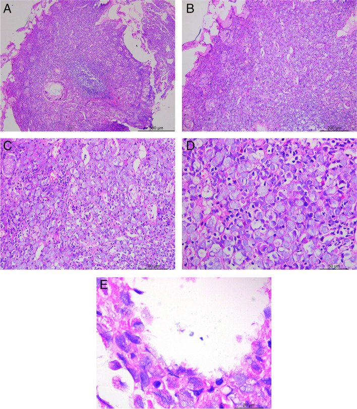 Fig. 2