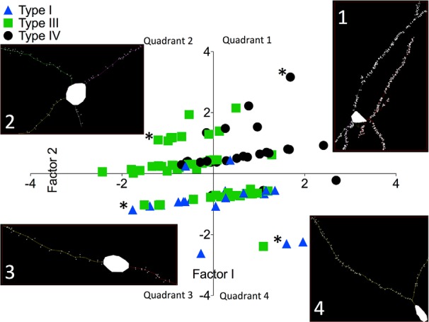 Fig. 9.