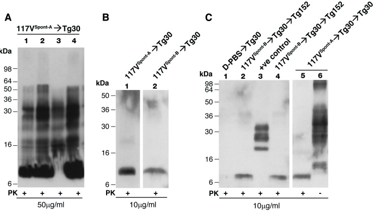 Fig 5