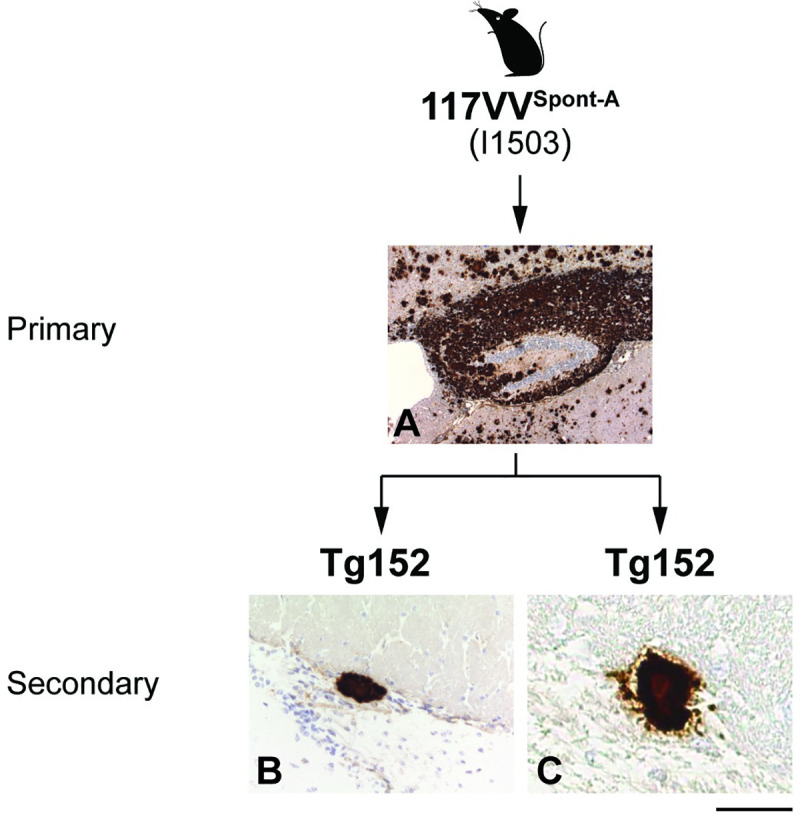 Fig 8