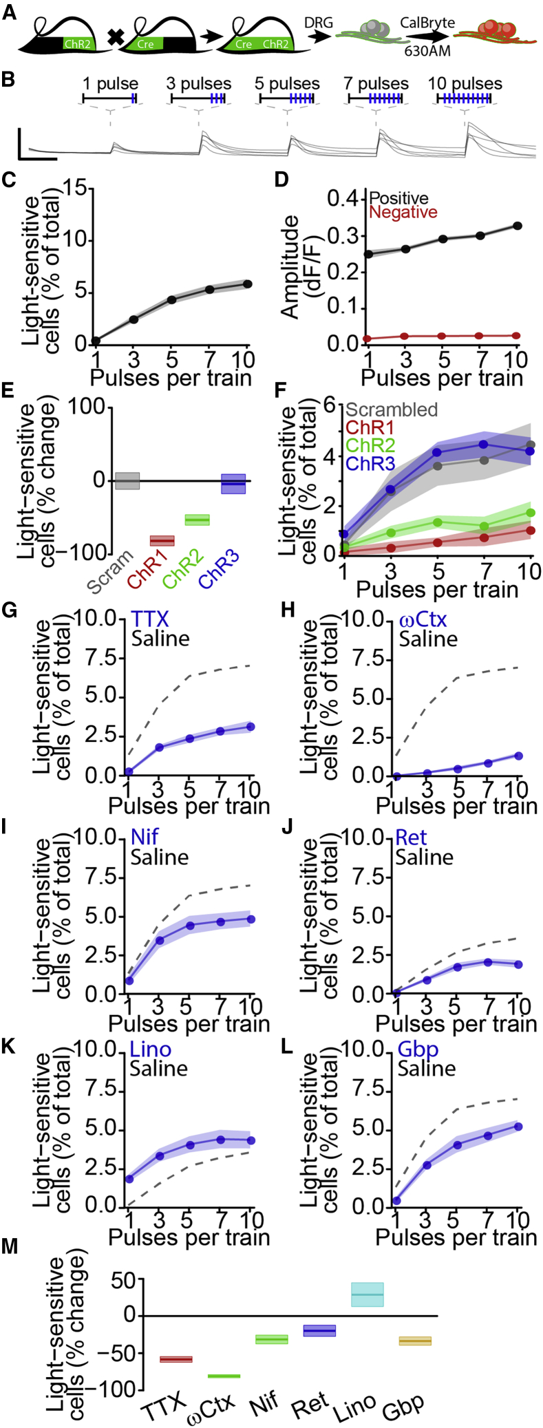 Figure 6