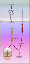 FIG. 4.