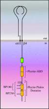 FIG. 1.