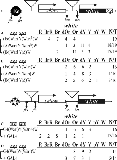 Figure 4.