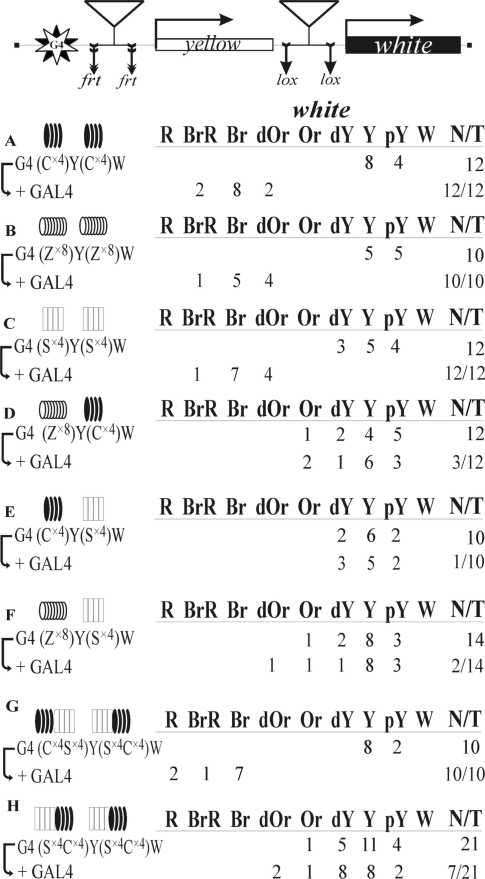 Figure 6.