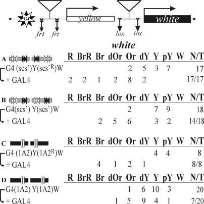 Figure 5.