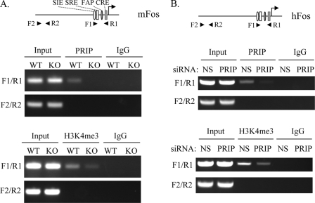 FIGURE 4.