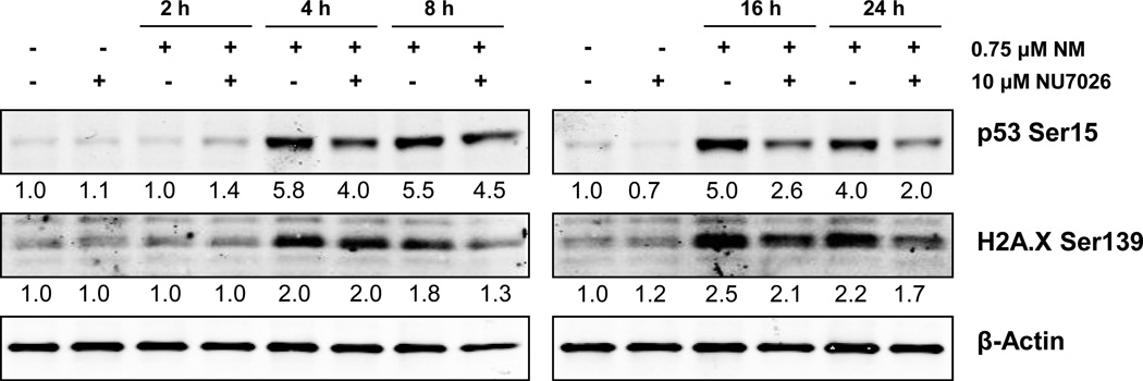 Fig. 5