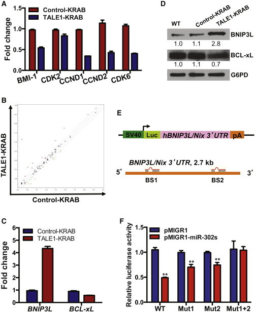 Figure 4