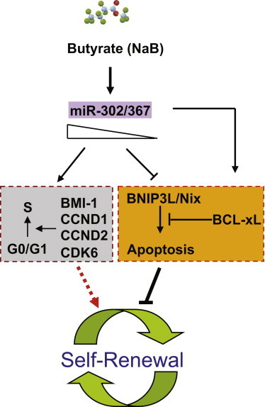 Figure 7