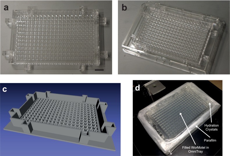 Figure 1—figure supplement 2.