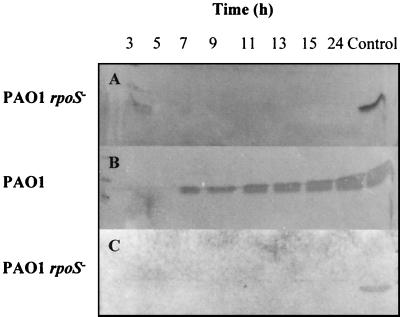 FIG. 6