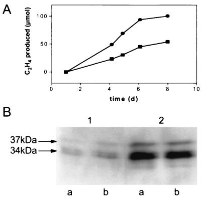 FIG. 5