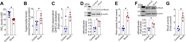 Figure 5